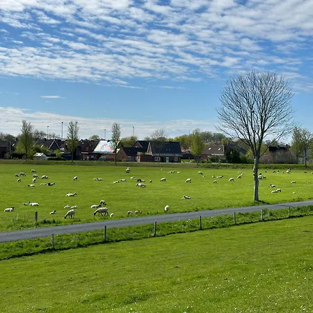 Ferienhaus-deichbrand * Friedrichskoog